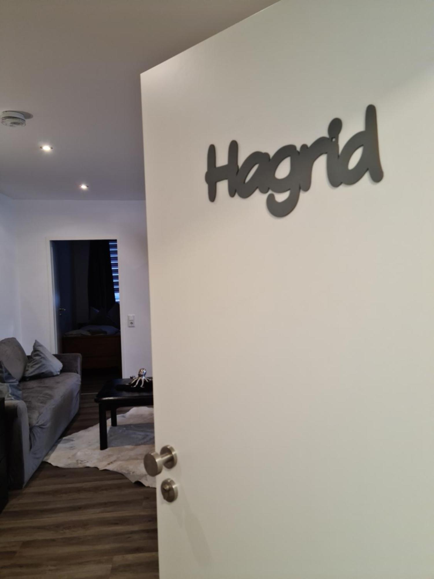 Pilgrims "Hagrid" 2 Sz, Balkon, Kueche, Bad, Top Wifi Brilon Eksteriør billede